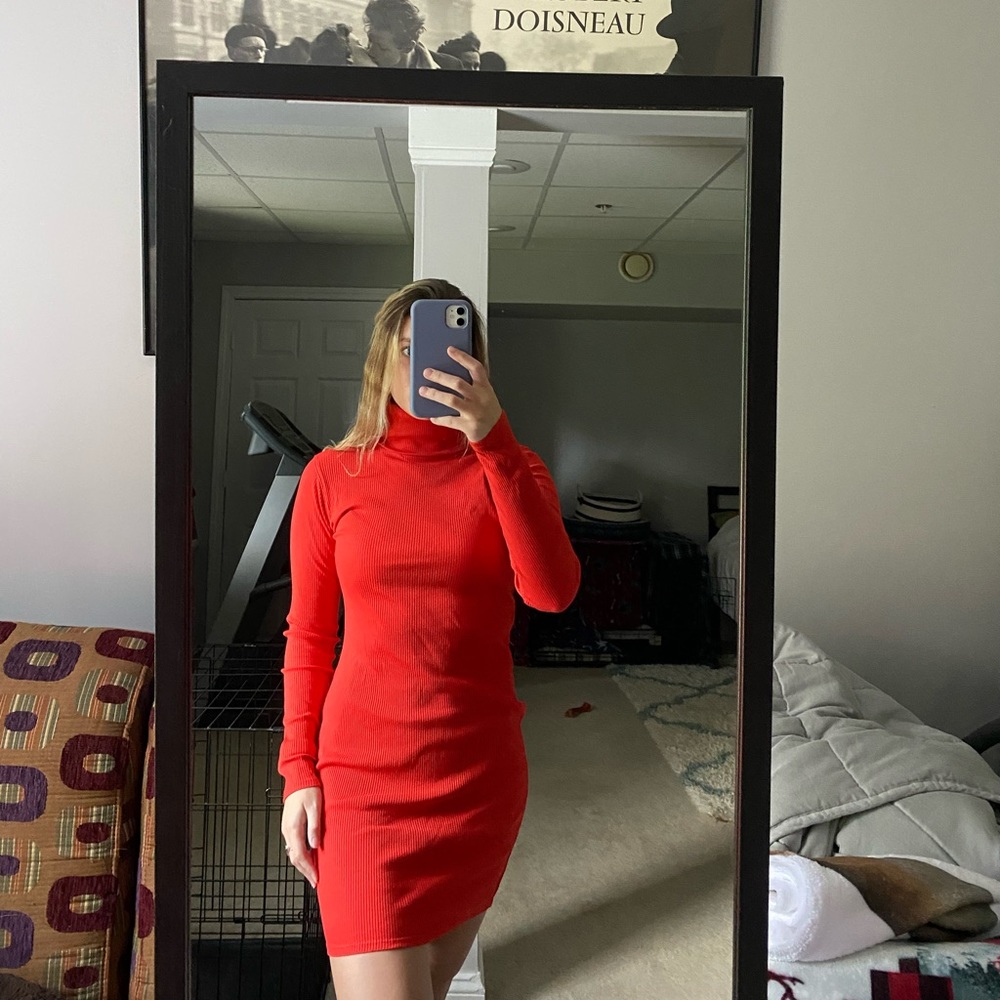 Wild Fable Turtleneck Dress